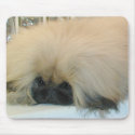 Pekingese Thinking Big mousepads