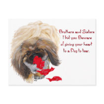 Pekingese Valentine Postcard