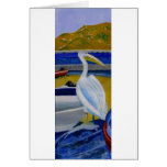 Pelican and Boats cards