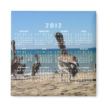 Pelican Beach Bums; 2012 Calendar Magnets