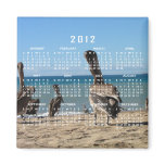 Pelican Beach Bums; 2012 Calendar magnets