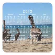 Pelican Beach Bums; 2012 Calendar Square Stickers
