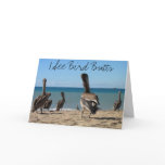 Pelican Beach Bums cards