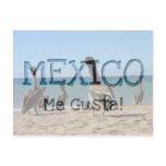 Pelican Beach Bums; Mexico Souvenir Post Cards