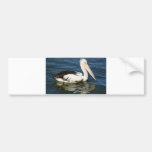 Pelican Bumper Stickers