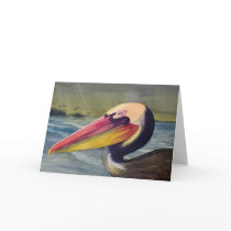 Pelican