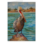 Pelican Cards