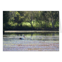 Pelican Card