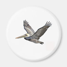 Pelican Clear Fridge Magnets
