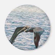 Pelican Flies Magnets