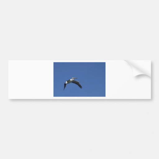 Pelican Flying Bumper Sticker