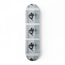 Pelican Landing Skateboard