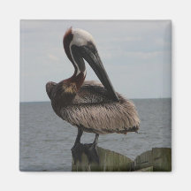 Pelican Magnet