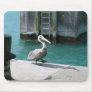 Pelican Mouse Pads