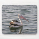 pelican mousepads