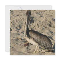 Pelican on Beach Invitations