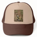 Pelican Pair - hat