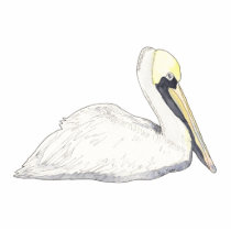 Pelican Photo Sculpture