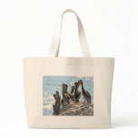 Pelican Rock bags