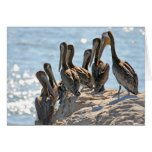 Pelican Rock Greeting Cards