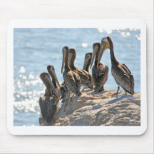Pelican Rock Mousemats