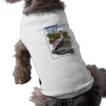 Pelican Sentry pet clothing