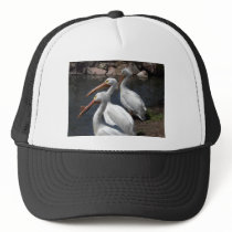 pelicans,3 hats
