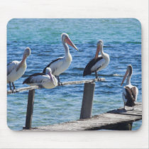 Pelicans Mouse Pads