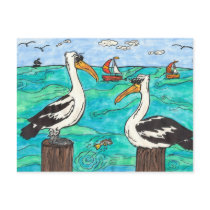 Pelicans Postcard