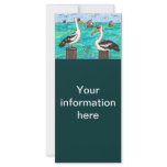 Pelicans rack card/bookmark rack cards