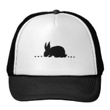 pelletinout.jpg mesh hats