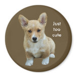 Pembroke Welsh Corgi Cute Magnet