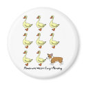 Pembroke Welsh Corgi Herding Ducks magnets