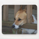 Pembroke Welsh Corgi Mousepad 002