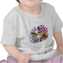 Pembroke Welsh Corgi Patriot