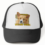 Pembroke Welsh Corgi Photo hats