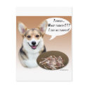 Pembroke Welsh Corgi Turkey postcards
