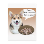 Pembroke Welsh Corgi Turkey postcards