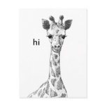 Pen and Ink Giraffe Postcard