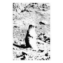 Pen and Ink Prairie Dog Stationery Paper