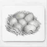 PENCIL ART CHICKEN EGGS mousepads