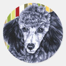 Pencil Poodle Sticker