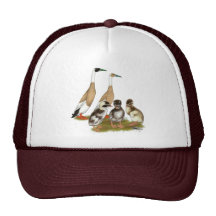 Penciled Runner Duck Family Hats