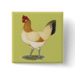Penedesenca:  Wheaten Hen buttons