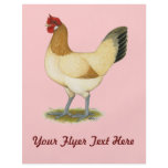 Penedesenca:  Wheaten Hen flyers