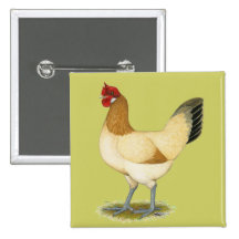 Penedesenca:  Wheaten Hen Pinback Button
