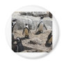 penguin,2 fridge magnet