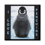 Penguin Baby Penguin-lover Fine Art Magnet