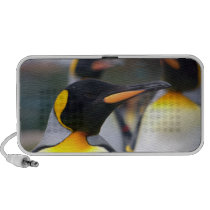 Penguin Bird Animal Speaker speakers