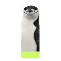 Penguin Book Group Business Card Templates